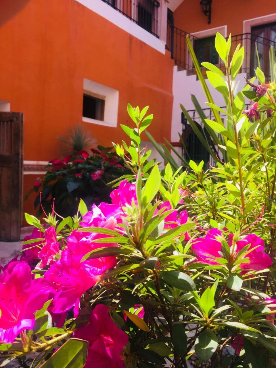 דולורס אידאלגו Casa Pozo Del Rayo Hotel Boutique מראה חיצוני תמונה